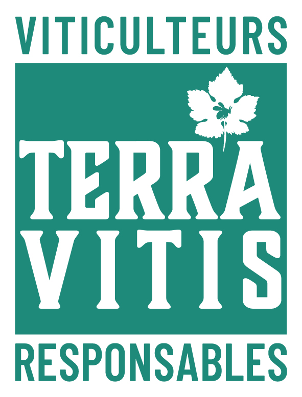 Logo : Terra Vitis